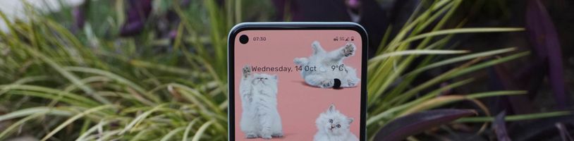 Pixel dostane vlastní procesor, Google Wifi končí a OnePlus stále neprodává základní model mobilu